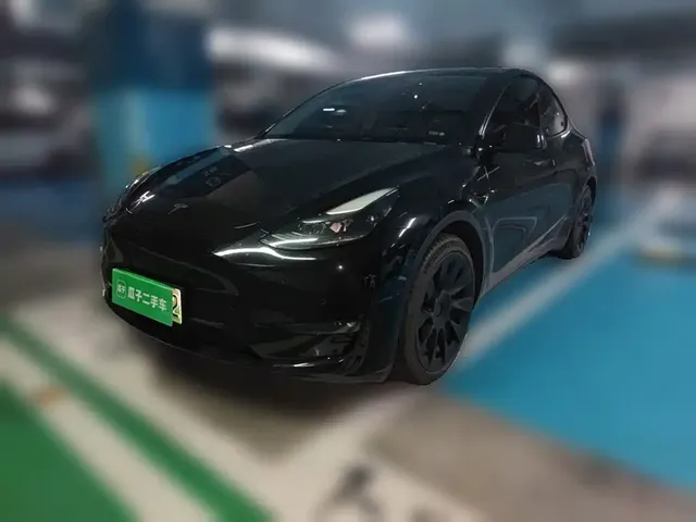 Tesla Model Y 2021 Standard Range Rear-Wheel Drive