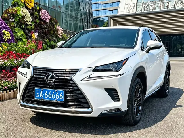Lexus NX 2018 Model 200 FWD Fengxing Edition China V