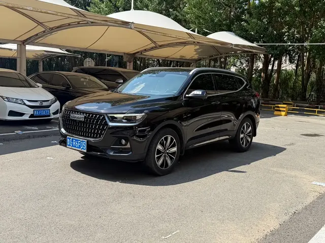 Haval H6 2023 National Trend Edition 1.5T Automatic Champion