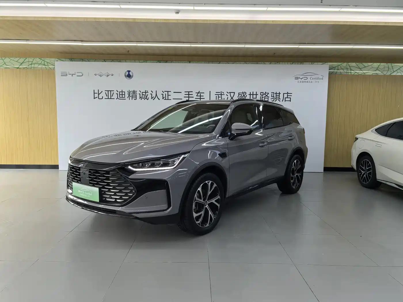 BYD Tang New Energy 2025 DM-i 115KM Flagship
