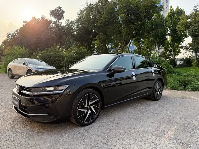 Volkswagen Magotan 2024 380TSI DSG Ultimate Edition