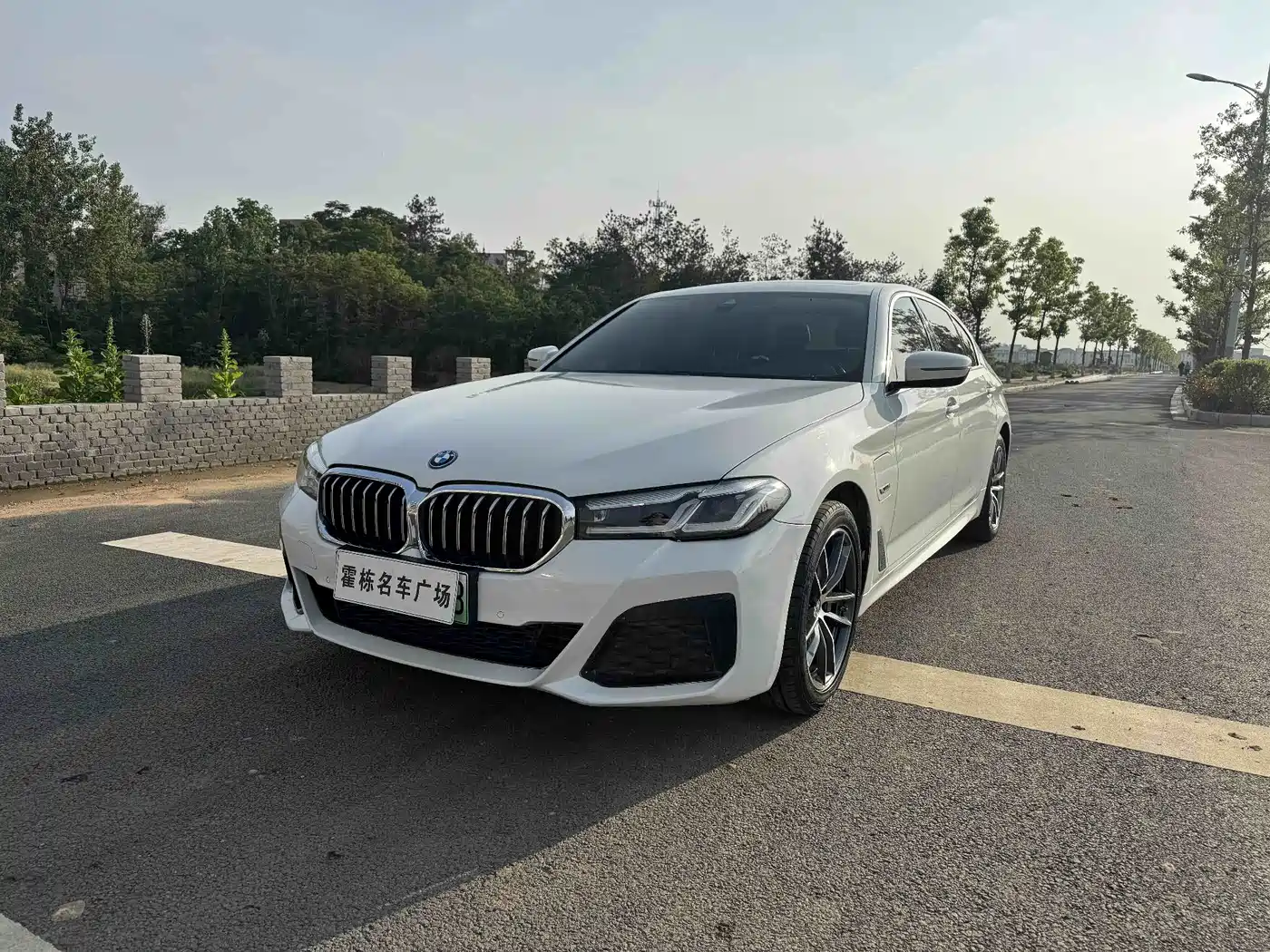 BMW 5 Series New Energy 2021 535Le M Sport Package