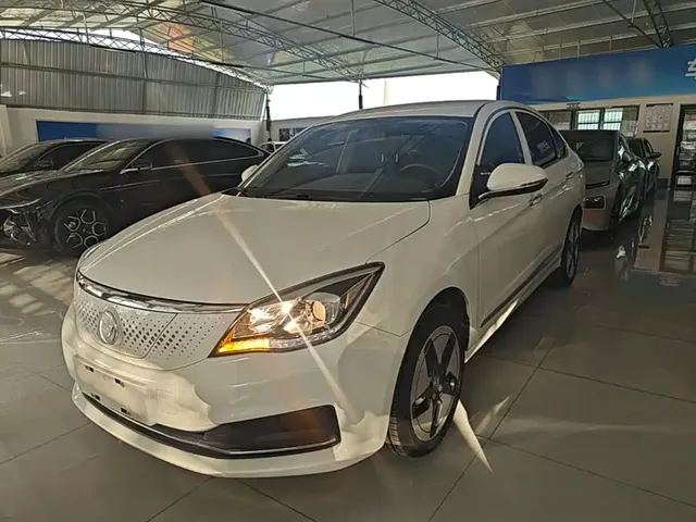 Dongfeng Aeolus Dongfeng Fengshen E70 2020 500 Ultra Comfort Edition