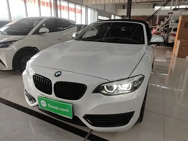 BMW 2 Series (Import) 2019 225i Convertible Coupe Sport Design Package