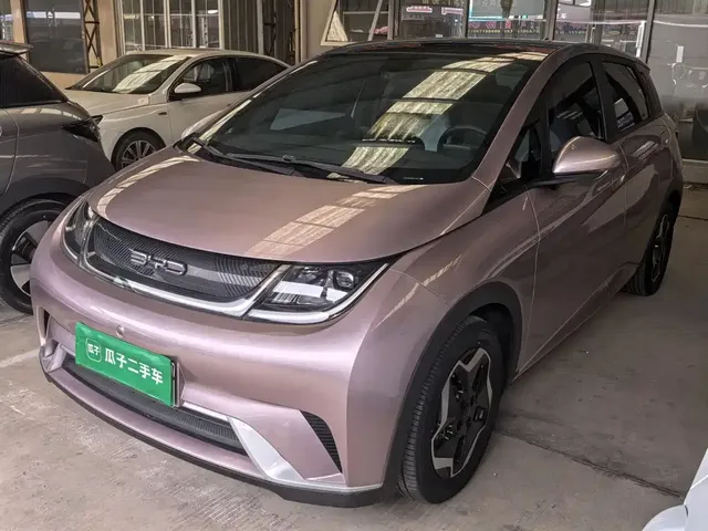 BYD Dolphin 2021 Model 405km Fashion Edition