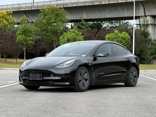 Tesla Model 3 2021 Standard Range Rear-Wheel Drive Upgrade 3D6