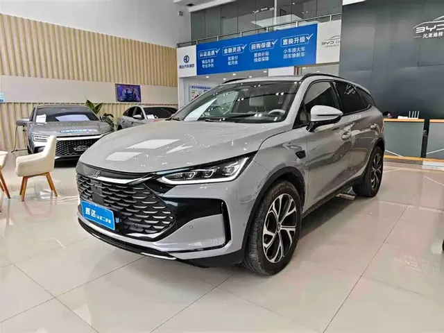 BYD Tang New Energy 2025 Smart Driving Edition DM-i 115KM Flagship