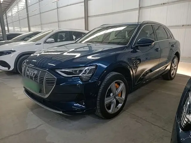Audi e-tron (Import) 2019 55 quattro Fashion