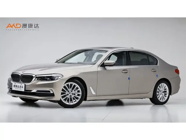 BMW 5 Series 2020 530Li Leading Luxury Package