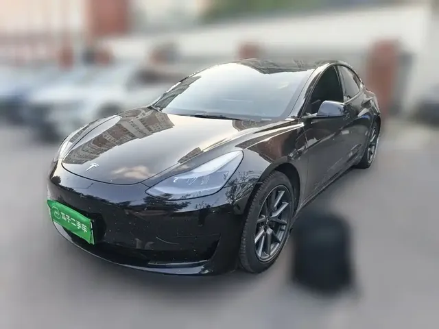 Tesla Model 3 2022 Model Rear-Wheel Drive Version
