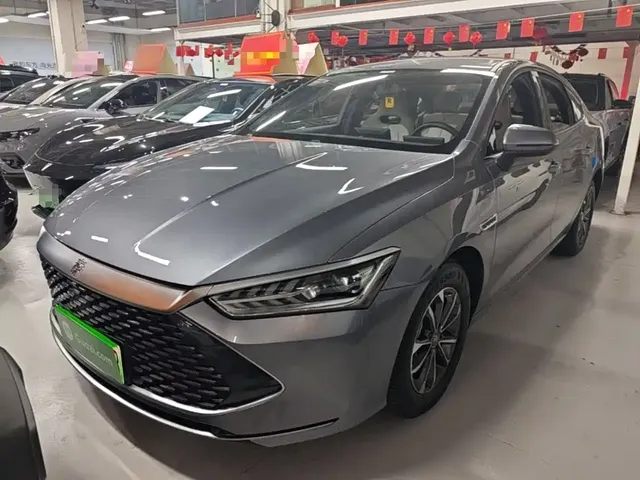 BYD Qin PLUS 2024 Glory Edition DM-i 55KM Leading