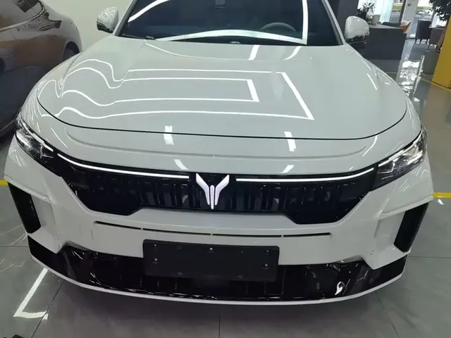 Voyah Auto VOYAH FREE 2024 Ultra Long Range Intelligent Driving Edition
