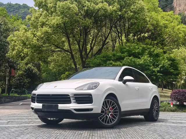 Porsche Cayenne 2022 Cayenne Coupé 3.0T Platinum Edition