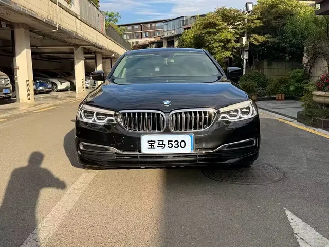 BMW 5 Series 2020 530Li Leading Luxury Package