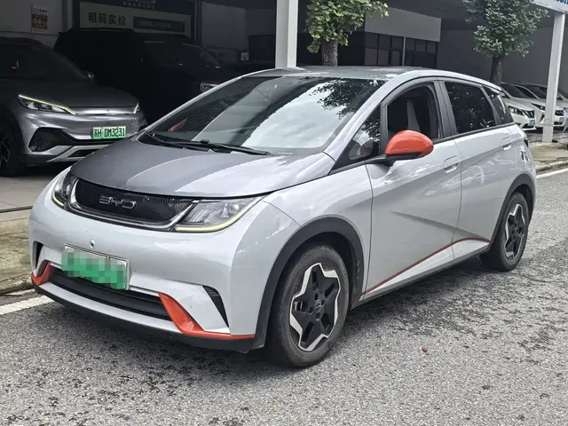 BYD Dolphin 2021 405km Freedom Edition