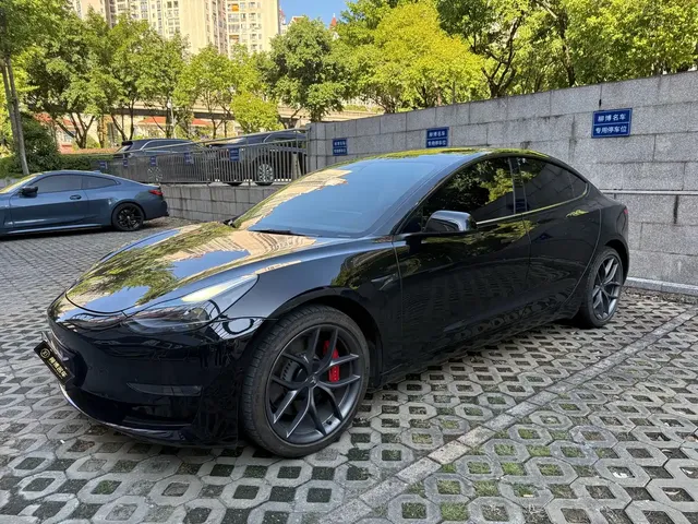 Tesla Model 3 2022 Performance High-Performance AWD