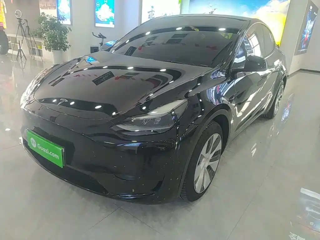 Tesla Model Y 2022 Rear-Wheel Drive Version