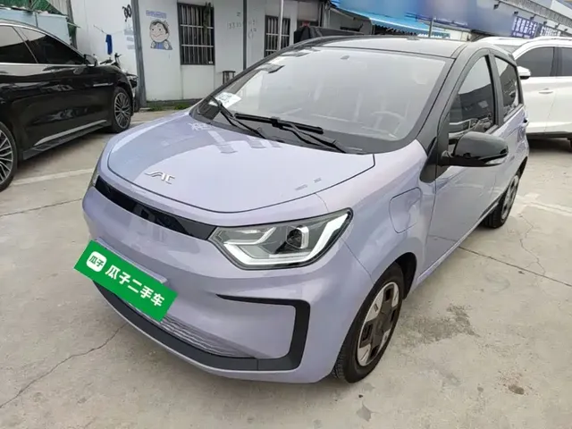 JAC Yiwei Yttrium Flower Fairy 2024 Beloved Edition 301km Lite
