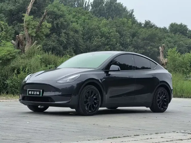 Tesla Model Y 2025 Rear-Wheel Drive