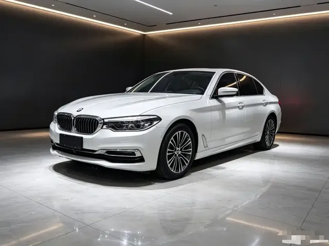 BMW 5 Series 2019 530Li Premium Luxury Package