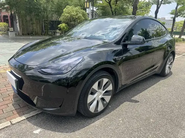 Tesla Model Y 2022 Rear-Wheel Drive Version