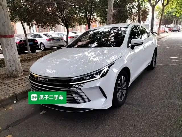 BYD Destroyer 05 2024 Glory Edition DM-i 55KM Luxury