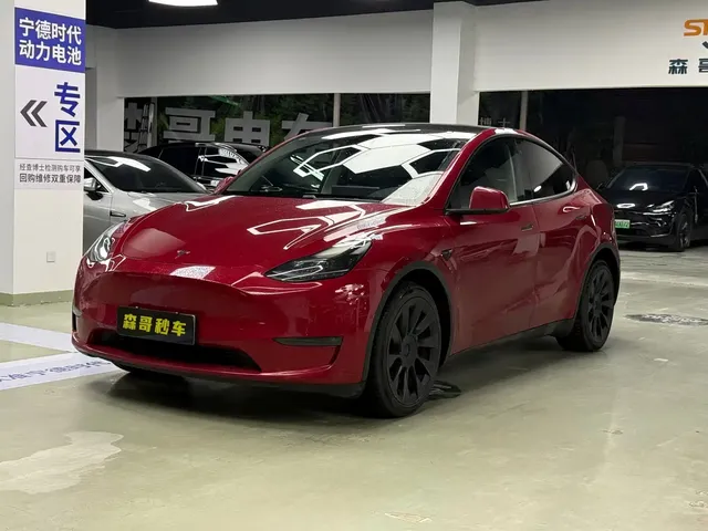 Tesla Model Y 2021 Model Long Range AWD