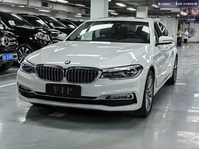 BMW 5 Series New Energy 2019 530Le Luxury Package
