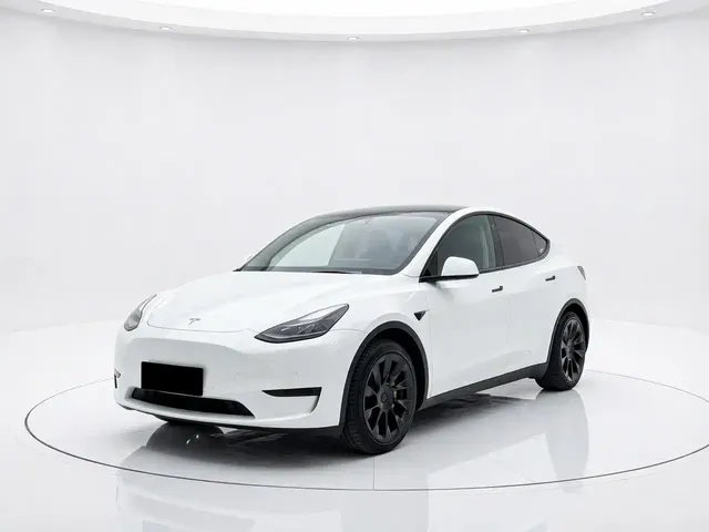 Tesla Model Y 2022 Rear-Wheel Drive Version