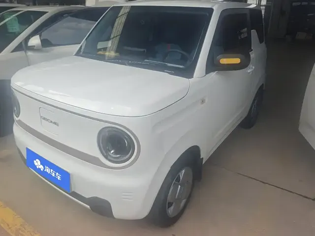 Geely Galaxy Panda 2024 Panda mini 200km Endurance Bear