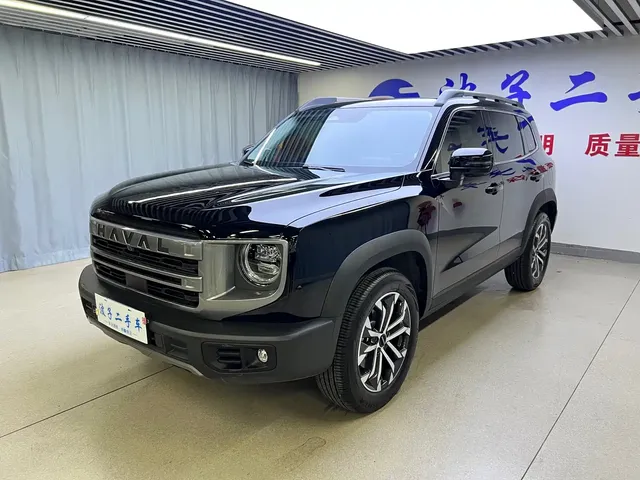Haval Big Dog 2024 1.5T DCT Border Collie Edition