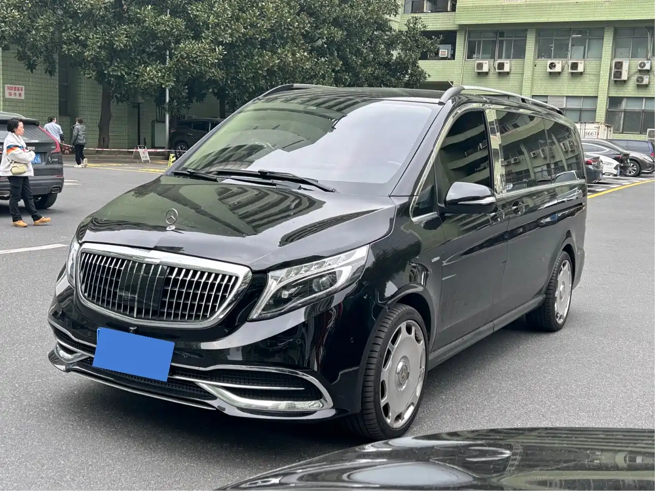 Mercedes-Benz V-Class 2018 V 260 Premium Edition China VI