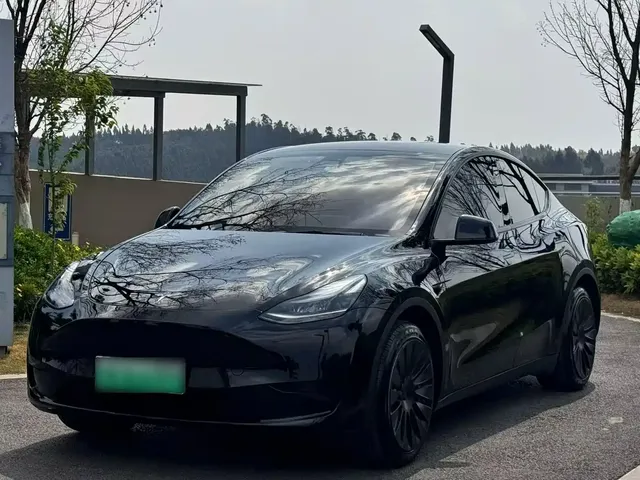 Tesla Model Y 2022 Rear-Wheel Drive Version