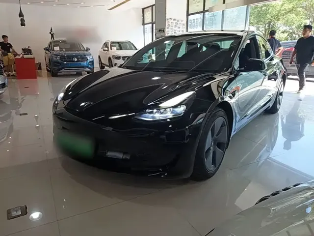 Tesla Model 3 2022 Model Rear-Wheel Drive Version