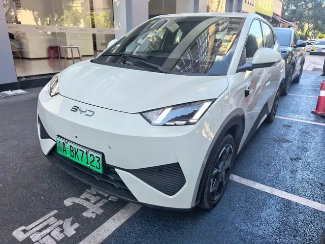 BYD Seagull 2025 Smart Drive Edition 305km Freedom Version