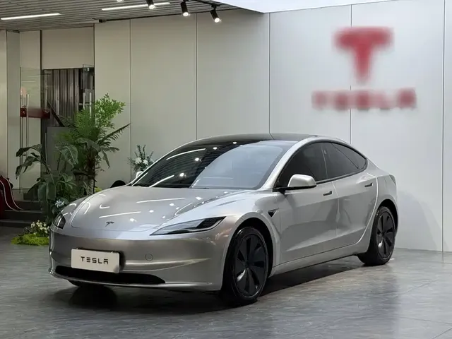 Tesla Model 3 2025 Model Rear-Wheel Drive Edition