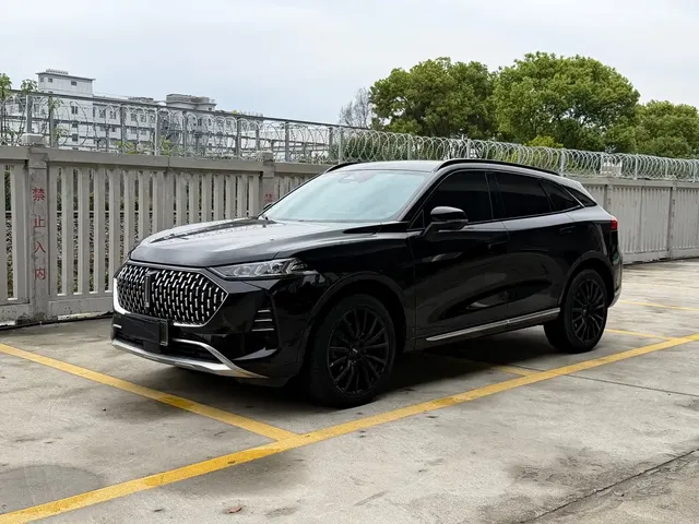 WEY Mocha New Energy 2022 1.5T Zero-Anxiety Performance Edition