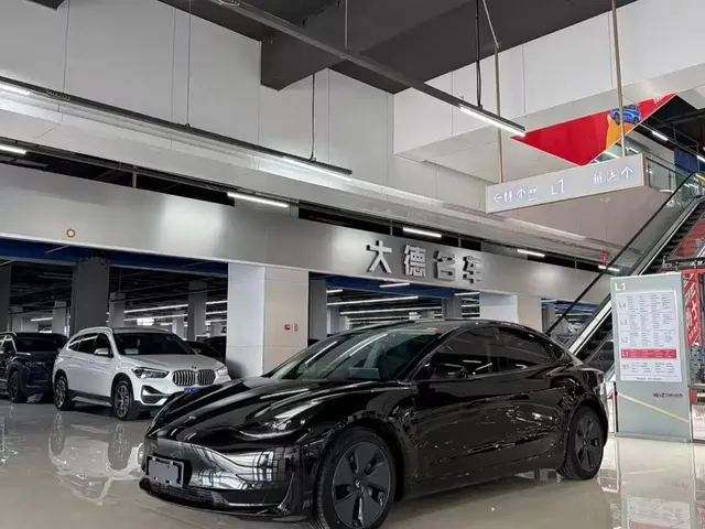 Tesla Model 3 2021 Standard Range Rear-Wheel Drive Upgrade