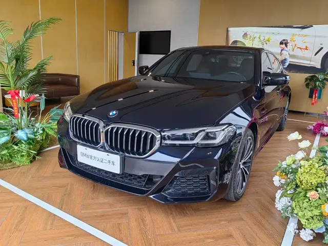 BMW 5 Series 2023 530Li Leading Luxury Package