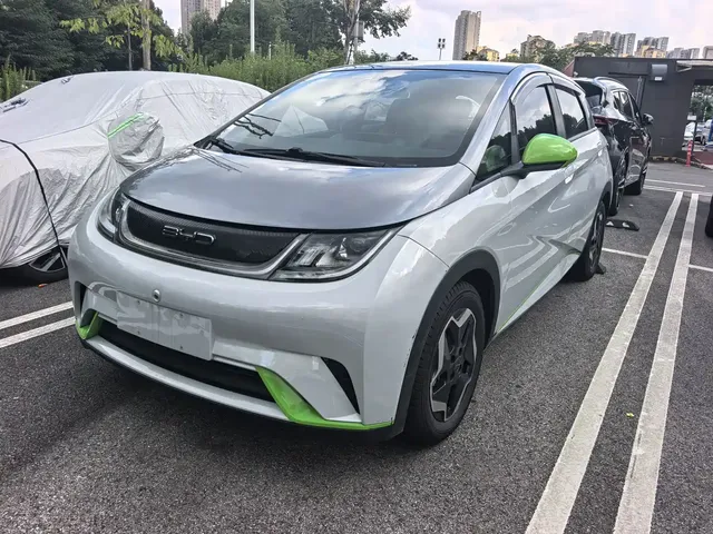BYD Dolphin 2021 Model 405km Fashion Edition