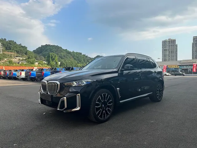 BMW X5 2023 xDrive 40Li M Sport Package