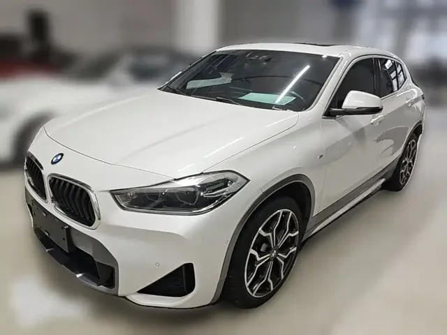 BMW X2 2020 sDrive25i Premium M Off-Road Package