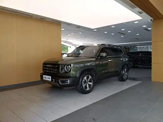 Haval Big Dog 2021 1.5T DCT 2WD Border Collie - Wangcai Edition