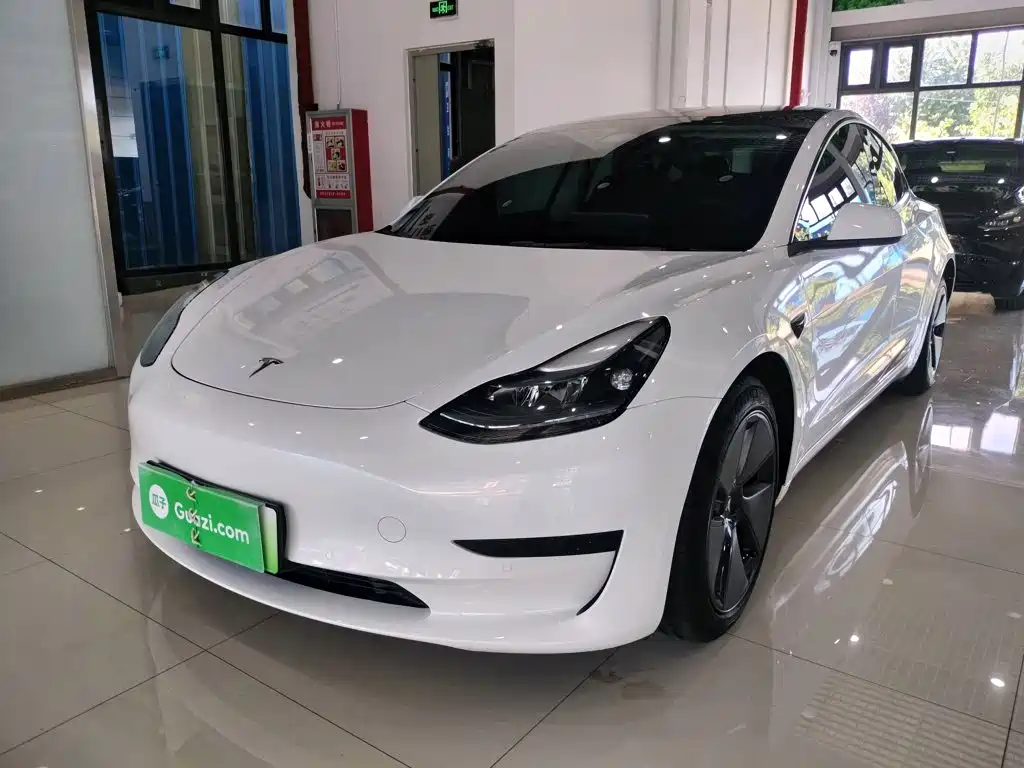 Tesla Model 3 2022 Model Rear-Wheel Drive Version