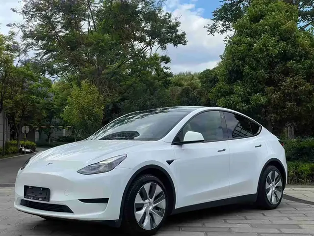 Tesla Model Y 2022 Rear-Wheel Drive Version