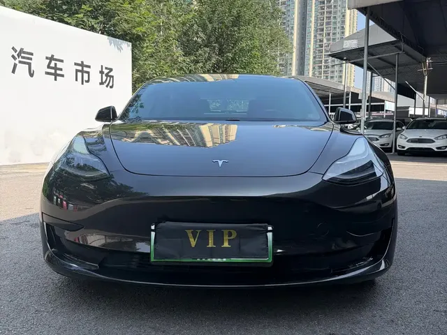 Tesla Model 3 2021 Standard Range Rear-Wheel Drive Upgrade
