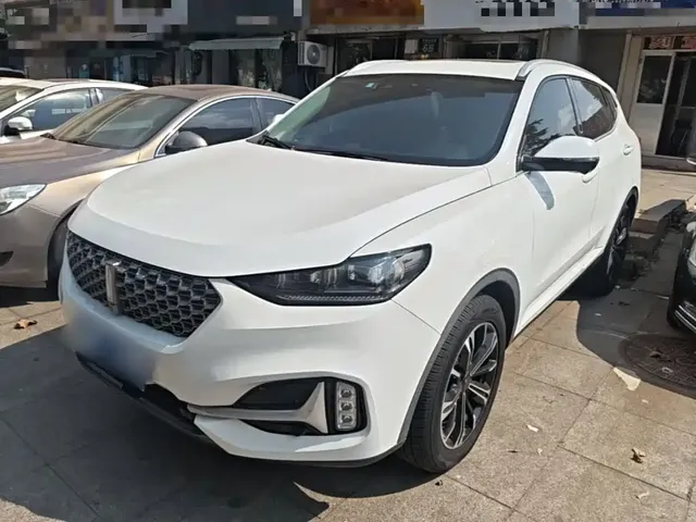WEY VV6 2021 2.0T 2WD Smart Enjoyment+