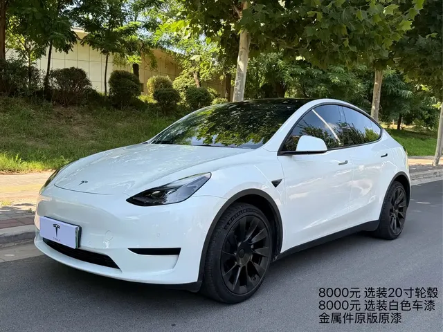 Tesla Model Y 2022 Facelift Rear-Wheel Drive Version