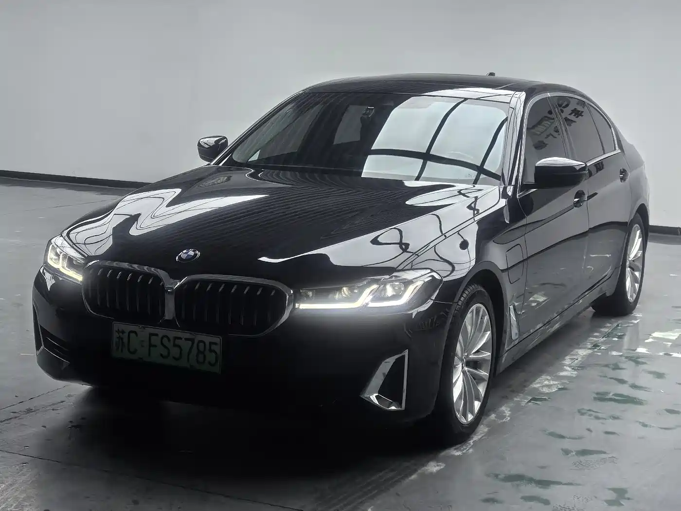 BMW 5 Series New Energy 2021 535Le Luxury Package