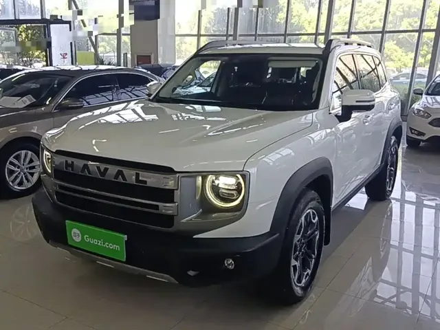 Haval Big Dog 2024 2.0T DCT Chinese Rural Dog Edition